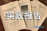 人口调查报告范文_社会调查报告范文(2)