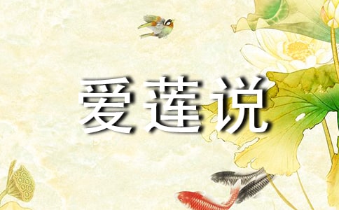 ����˵�ĵ����