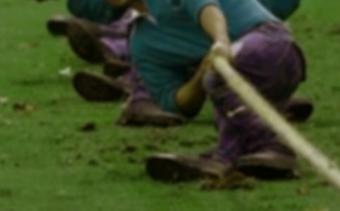 ��ѧ���κӱ����߻���10ƪ