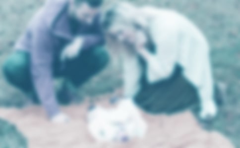 �ְ������Ұ���ۺ��