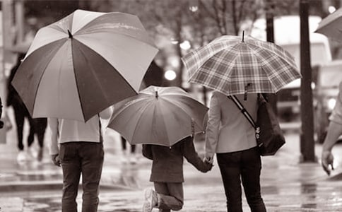 д���ְ�����ĸ�л��(����15ƪ)