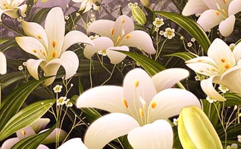 �ٺϻ��������