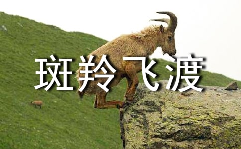 ����ɶɶ����