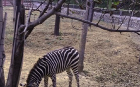 �������ð����߳���������ƪ