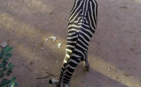 ʵ�õ��������ð����߳�����4ƪ