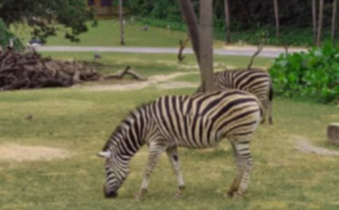 �������ð����߳����鷶�ĺϼ���ƪ