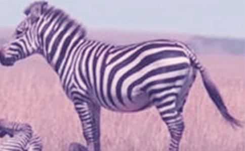 ����ѡ���������ð����߳�������ƪ