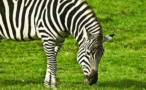 �������ð����߳�����ϼ�5ƪ