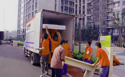 ���ݰ�ҵ�ף������