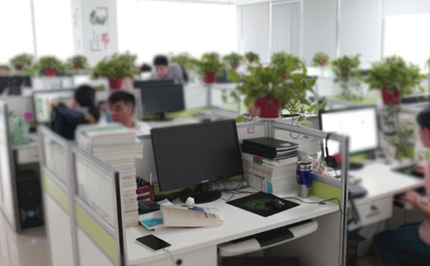 �칫����Ա���˹����ƻ�