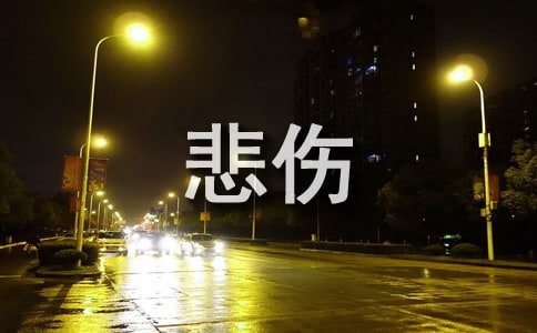 ���ڱ��˵�����