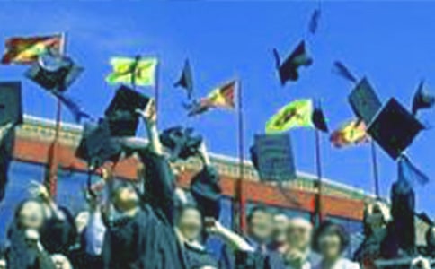 ���Ʊ�ҵʵϰ�ܽ᷶��