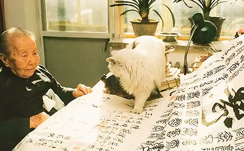 ����������¼��ȫ50��