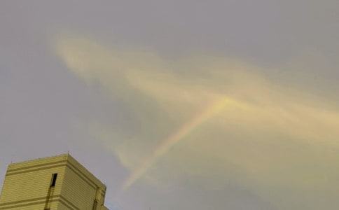 �ʺ��ܲ߻���