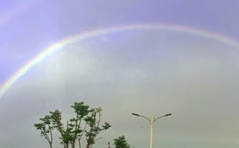 ���ڲʺ�ľ�������