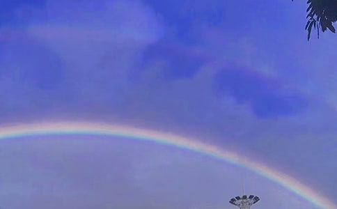 �ʺ�������¼