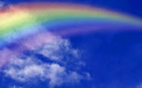 �����š��ʺ������