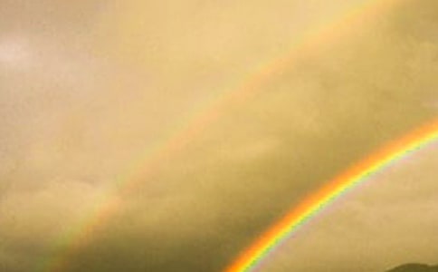 ���Ƽ����ʺ������