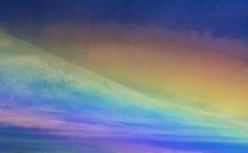 ���ڲʺ������