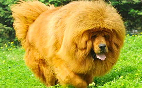 ҡ������ۺ��