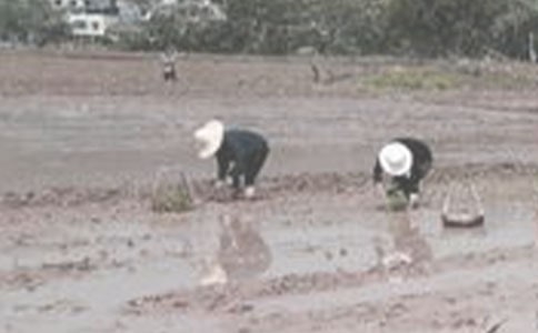 �������ܺ��ĵ��������