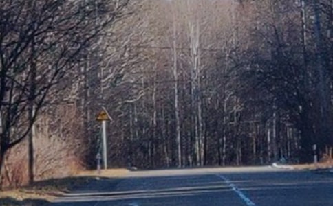 ����ɽ�ۺ��