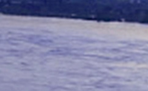 ���������ƺӵĳ�����