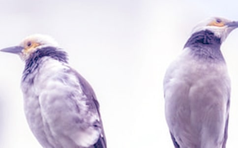 �����������ų��ܵļ����飡