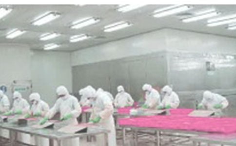 ����ͳ�ƹ����ƻ�