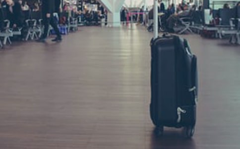 �����ĵ����