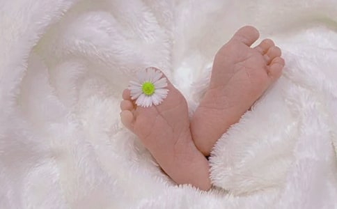 ����֤������������