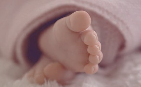 Ԥ������ȱ�����������ܽ�