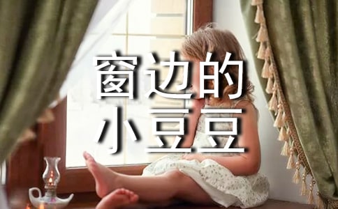 �����ߵ�С�����������(��ѡ)