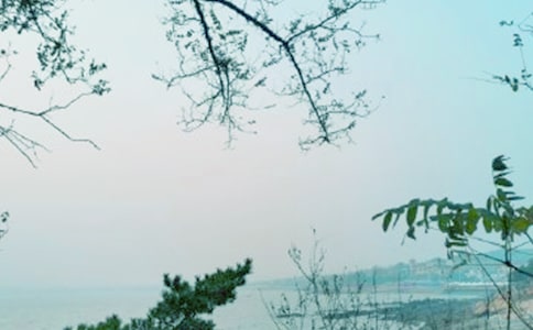 �ഺ��ɴ����߻���