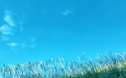 �ഺ��ɴ����߻��顾��ѡ��