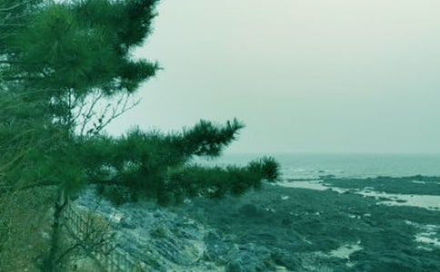 ���绯��ۺ��