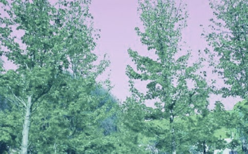 �ഺ��ɴ����߻���