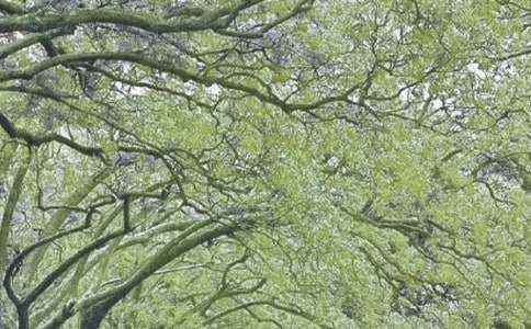 �����˰�����ж������ܽ�