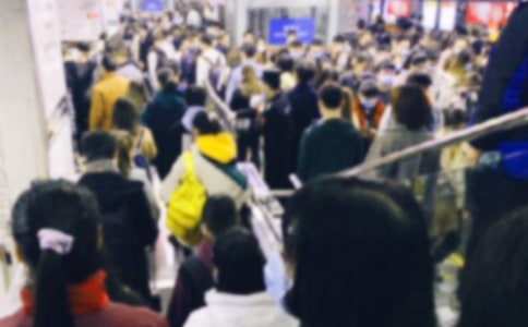 �����ĵ����