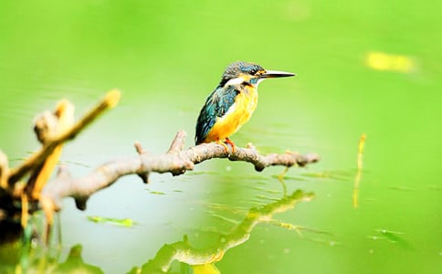 ���´��������ĵ�