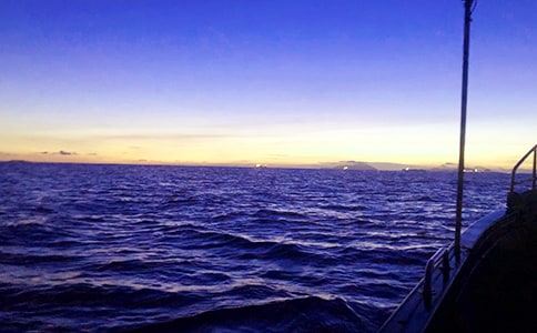 ���ڴ󺣵���������