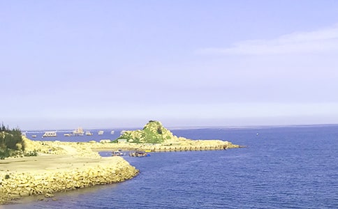 �����󺣵�����