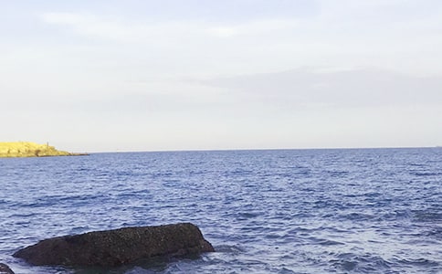 �����ռǶ����