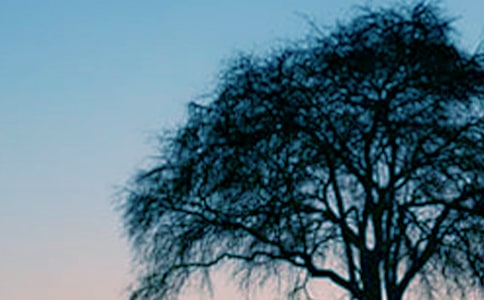 ��С�ݺʹ����и�