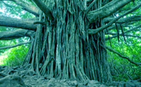 ��С�ݺʹ������������