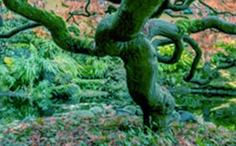 С�ݺʹ��������