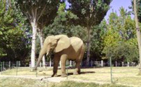 ���꼶������ѧ�ϲ��ѧ�����ܽᣨ��ѡ12ƪ��