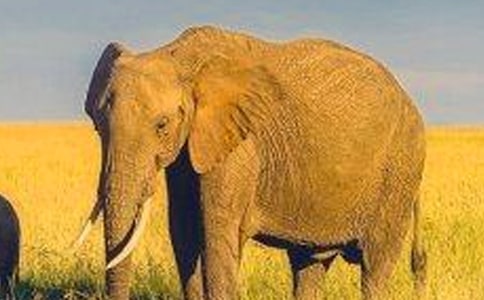 �������������