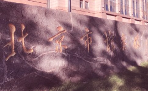 �����ݵ���������