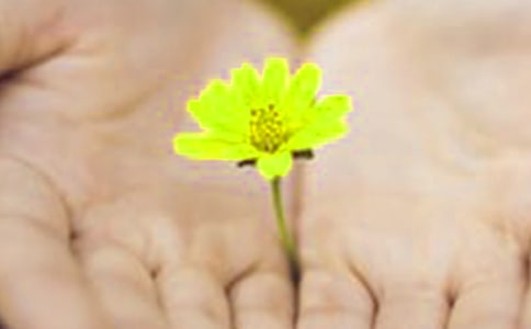 ��ܵ�Ǹ������7ƪ